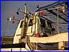 LARC079.JPG