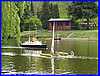 Beale Boats 027.JPG
