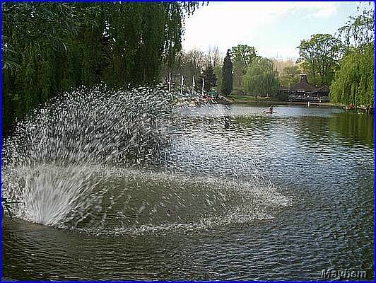 Park 002.JPG