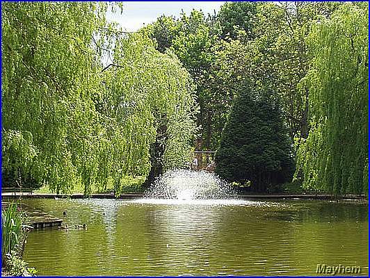 Park 092.JPG