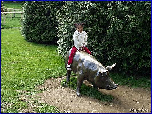 Park 093.JPG