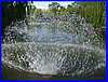 Park 091.JPG